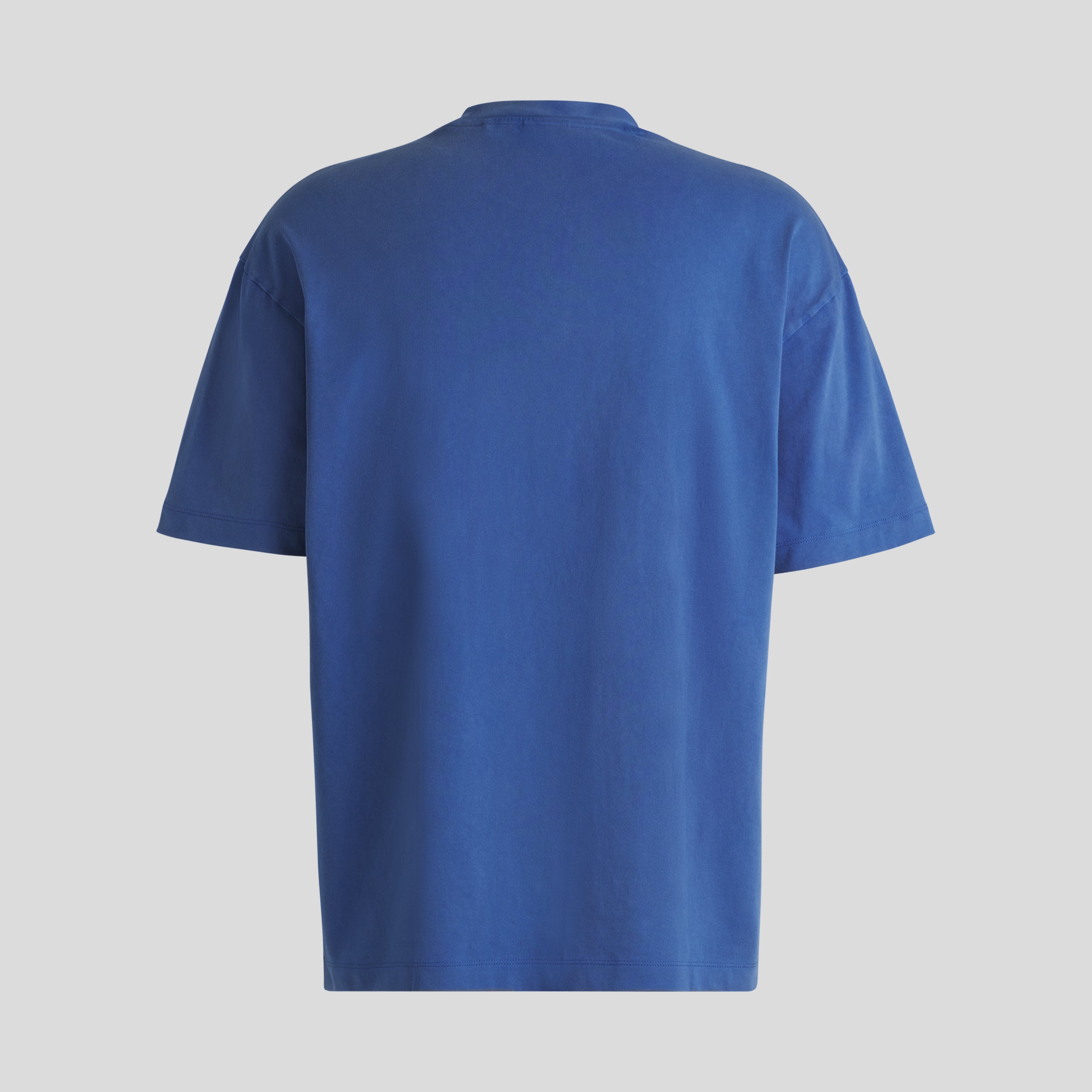 Visa Cash App RB F1 Washed Tee Mens - Blue