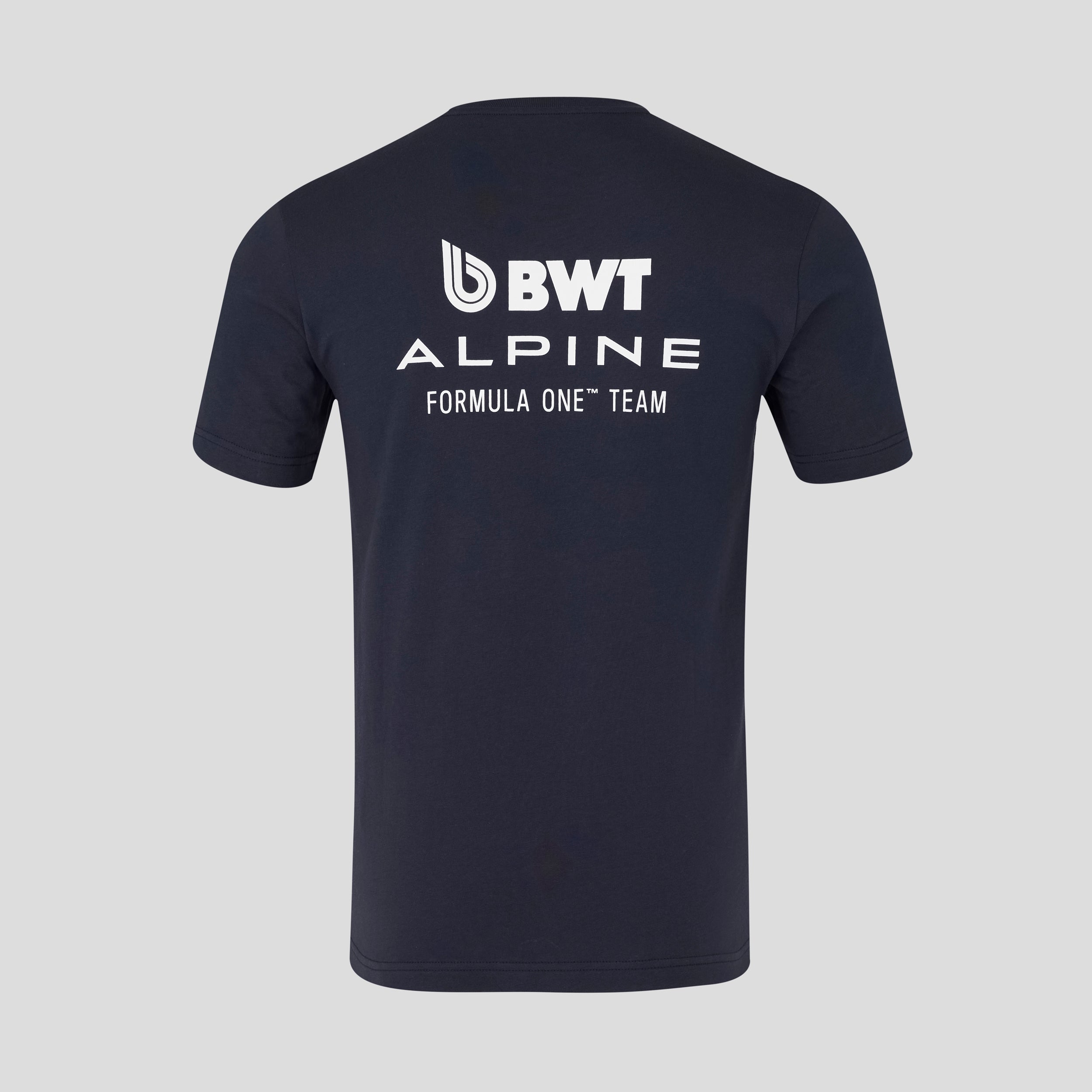 Alpine Regular Fit Tee Unisex - Night Sky